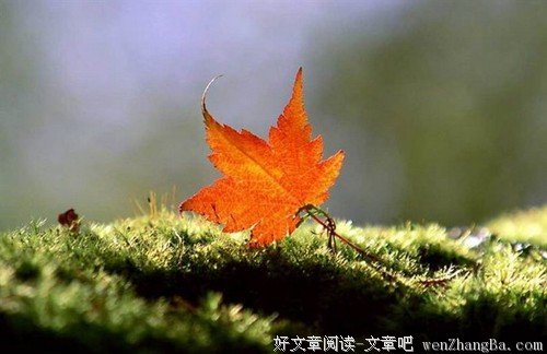 过好人生的六座桥