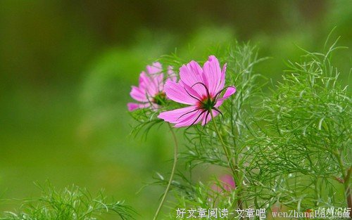 人应该这样活着 