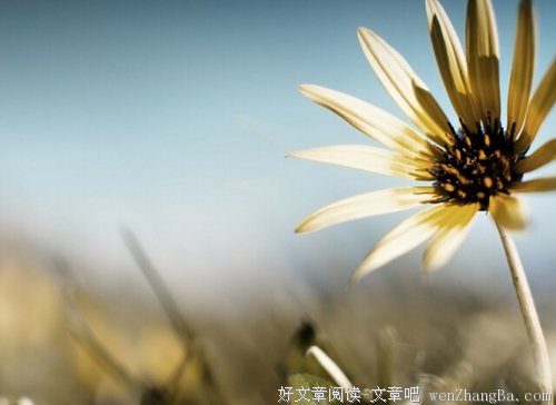 请低配你的人生