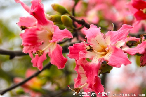 能活在当下的人才能知足