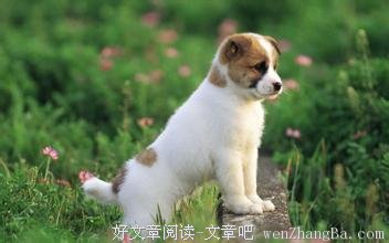留一段路让别人自己去走