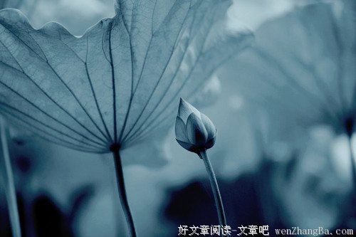 不要让人生空虚无奈 