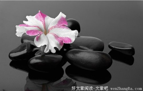 打湿的人生