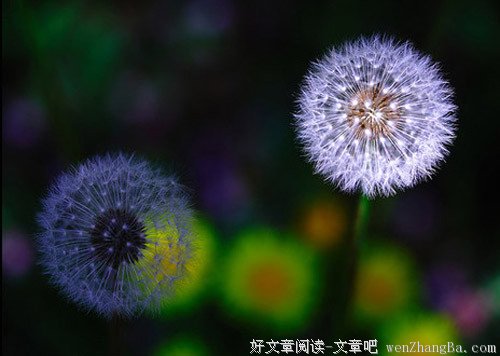 天使永远懂得微笑 