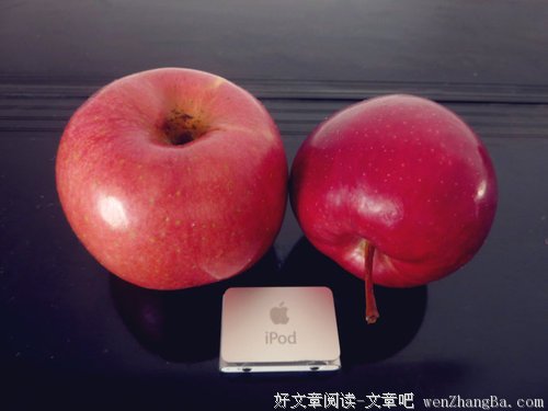 两个苹果的不一样的人生