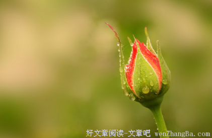 要有一颗惜福的心