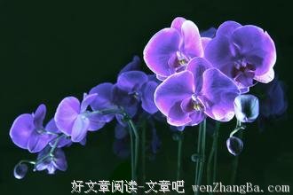 人生两追求：有钱不如值钱！ 