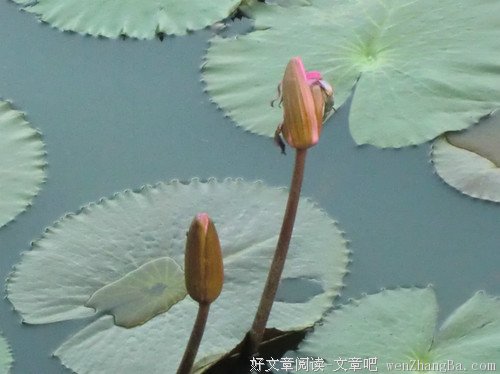 你有木有正在变成你鄙视的那种人？