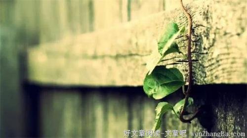 犯错时别轻易原谅自己