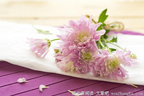美好人生需要的一点小哲学