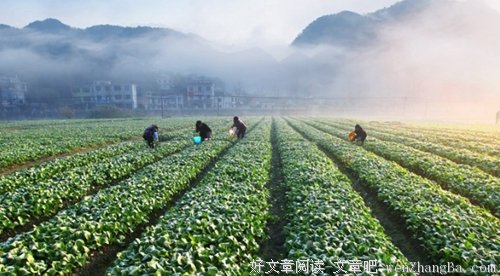 种点什么