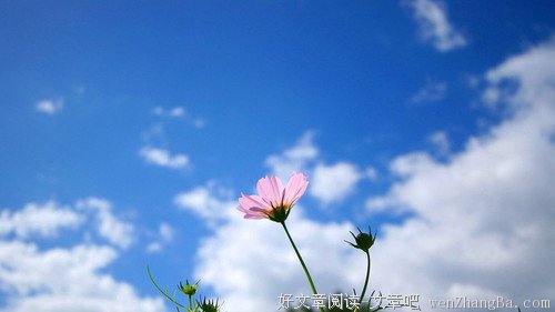 善待他人即善待自己