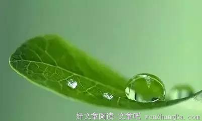 记住别人的“滴水之恩” 