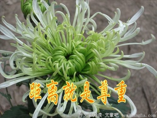 留人一空间，留己一尊严