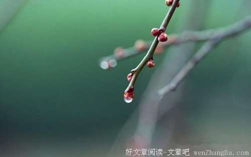你认识自己吗？