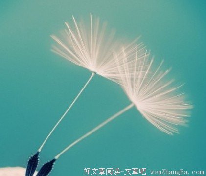 宽恕别人会给您带来的12种好处
