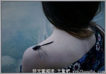 肩膀上的蜻蜓 