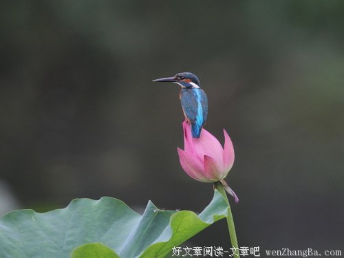 德国制造如何造出众多“世界一流”