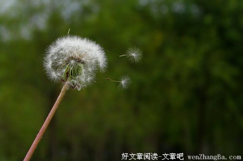 就算面对一百万次离别