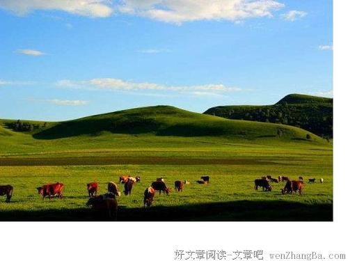 归巢的太阳