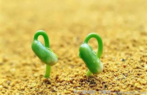 生命在阅读中高贵与优雅