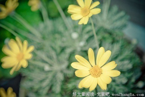 珍惜那些麻烦你的人