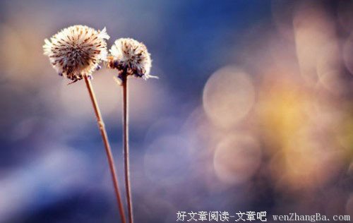 改变危机唯有勤奋