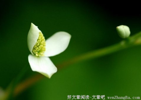 宽容是女人最有魅力的财富 