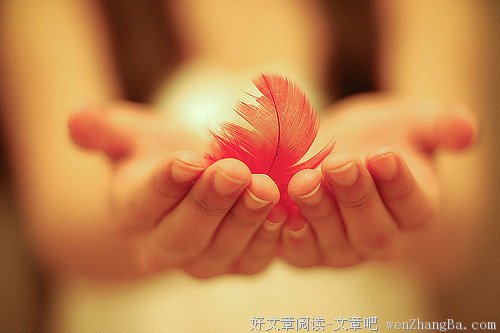 当下中国什么都不缺，就缺一样东西