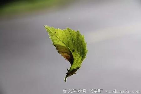 我想告诉你坚持的秘诀