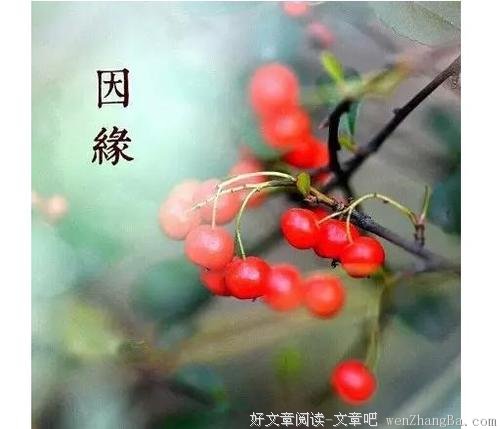 醒 来 （写的真好）