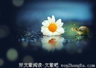 淡然的女人