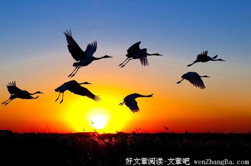 让能力走在工资前面
