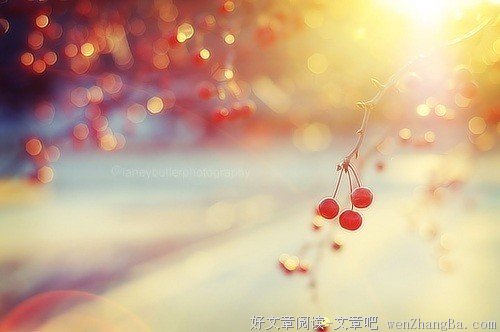 心灵的漏洞