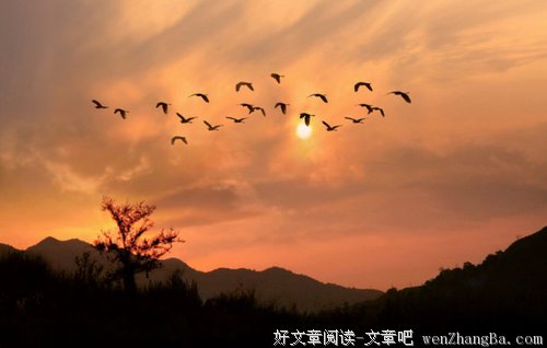 岁月打败了我们什么