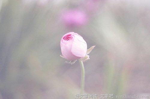 不虚度每一天的光阴 