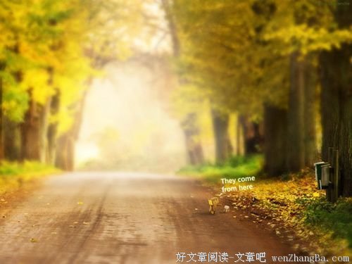 路没有错，错的只是选择