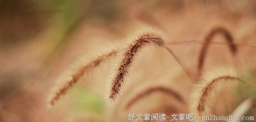 从今天起，做个幸福的人