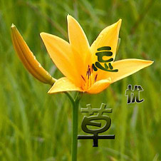 忘记烦恼，开开心心过好每一天！