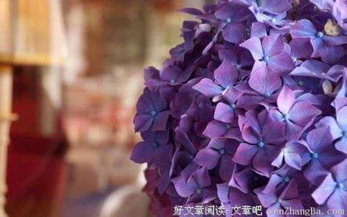 人生在享受痛苦与快乐中前行