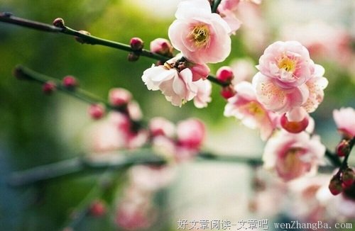 经典哲理，用心看，足以改变你的一生！