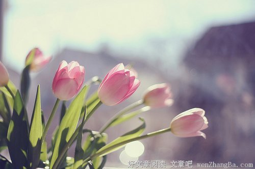 找一个迷人的理由