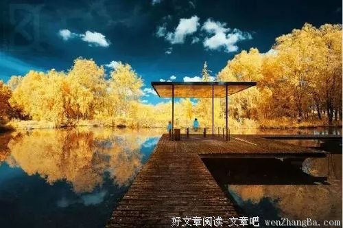 有一种美丽 叫淡到极致