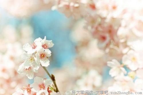 别在该放弃时，错误地选择坚持