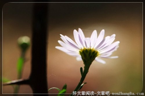 得亦淡然，失亦坦然