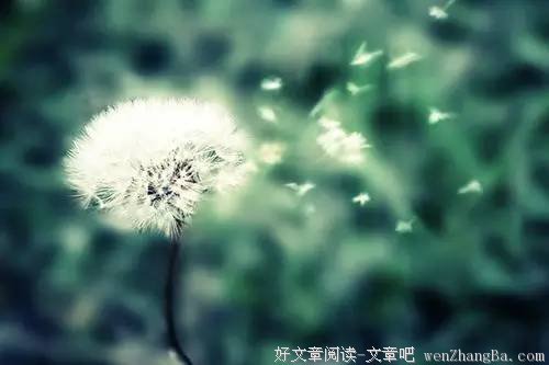 不好意思，我不想原谅你