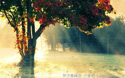 什么样的生活，才是真正的富足