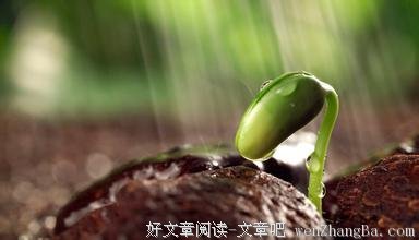 生命的意义