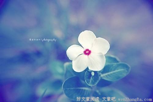 在每日的重复里，看到不断完善的自己