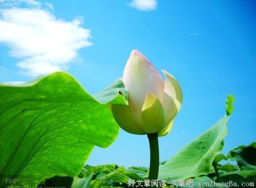 你怨天怨地怨别人，怎么不怨你自己？